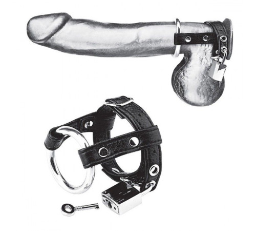 Утяжка на пенис на замочке Duo Cock And Ball Lock Утяжка на пенис на замочке Duo Cock And Ball Lock