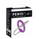 Заказать Уретральный плаг с силиконовым кольцом под головку Penis Plug