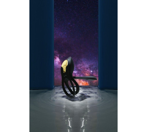 Черное эрекционное виброкольцо Bayek с пультом ДУ