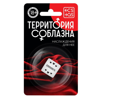 Заказать Неоновый кубик «Территория соблазна. Наслаждение для неё» Заказать Неоновый кубик «Территория соблазна. Наслаждение для неё»