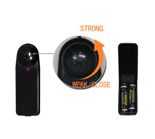 Реалистичный полый фаллоимитатор на трусиках Ultra Passionate Harness - 15 см.