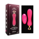 Заказать Розовый мини-вибратор Mini Vibrator с пультом ДУ - 12,5 см.