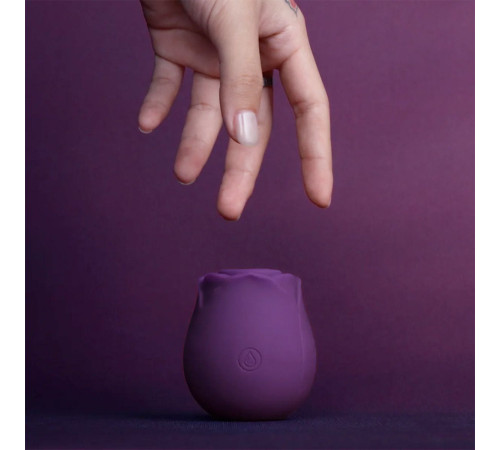 Фиолетовый вакуумный стимулятор Rose