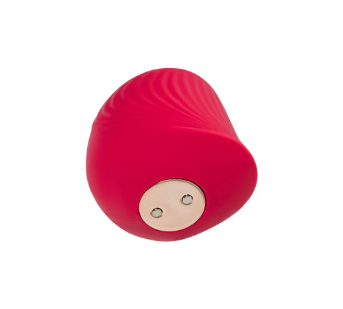 Красный вакуум-волновой стимулятор клитора Birdie