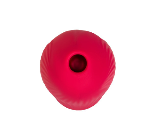 Красный вакуум-волновой стимулятор клитора Birdie