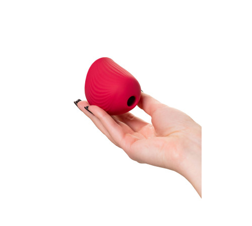 Красный вакуум-волновой стимулятор клитора Birdie