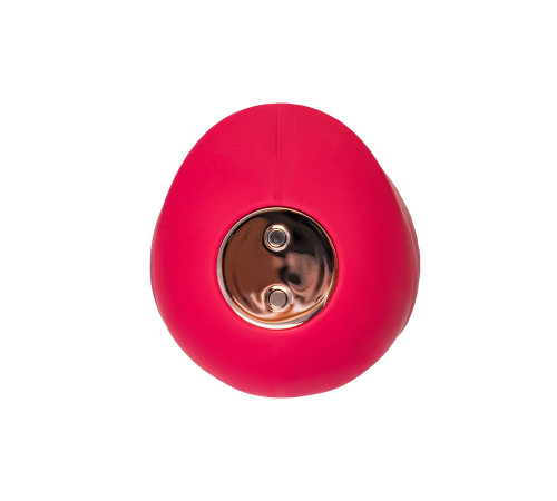 Красный вакуум-волновой стимулятор клитора Birdie