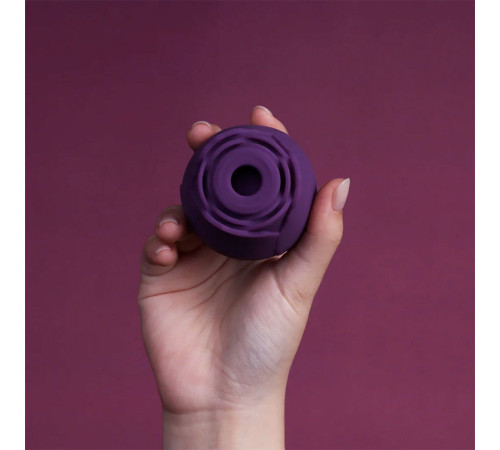 Фиолетовый вакуумный стимулятор Rose