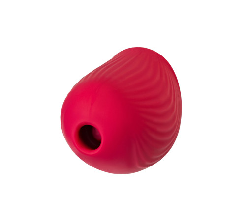 Красный вакуум-волновой стимулятор клитора Birdie