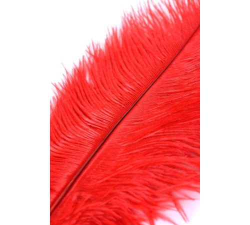 Красное страусиное пёрышко - 40 см.