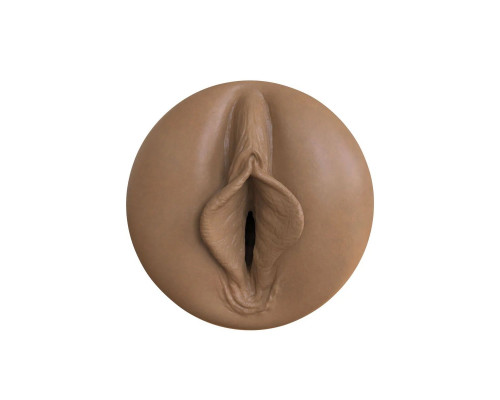 Заказать Мастурбатор-вагина Fleshlight Boost Bang
