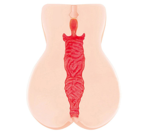 Мастурбатор-вагина с двойным слоем материала Jenny Onahole edition 005