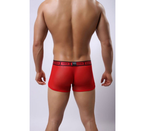 Сетчатые трусы-боксеры Cockcon Trunks с принтом на гульфике