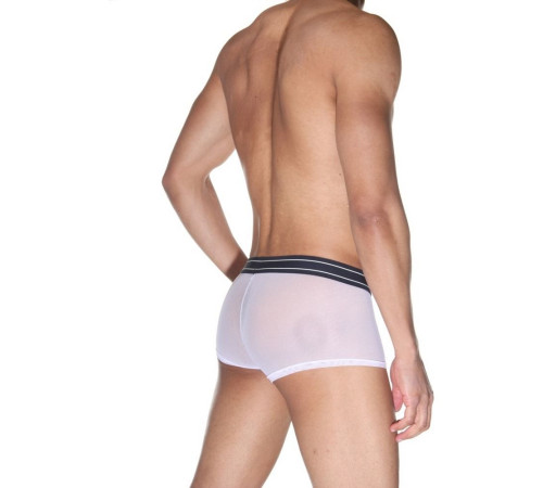 Мужские полупрозрачные трусы-боксеры