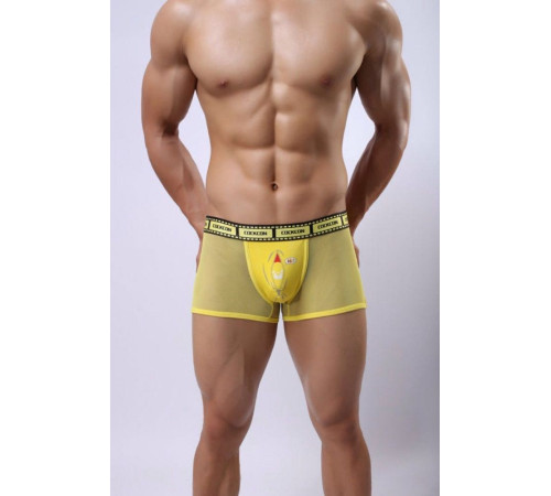 Сетчатые трусы-боксеры Cockcon Trunks с принтом на гульфике