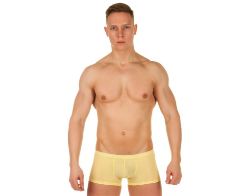 Заказать Мужские трусы-хипсы из ткани с текстурой змеиной чешуи Snake Yellow Boxer Заказать Мужские трусы-хипсы из ткани с текстурой змеиной чешуи Snake Yellow Boxer