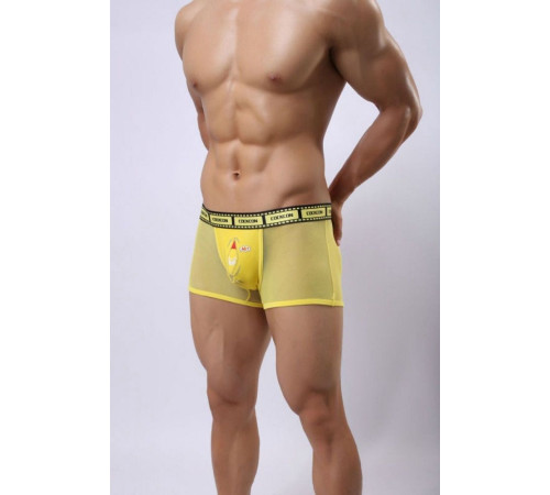 Сетчатые трусы-боксеры Cockcon Trunks с принтом на гульфике