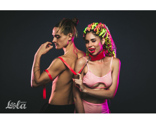 Заказать Красный ошейник Circus с поводком Заказать Красный ошейник Circus с поводком