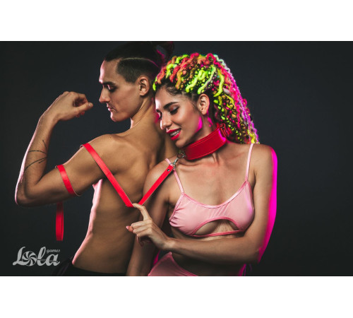 Красный ошейник Circus с поводком