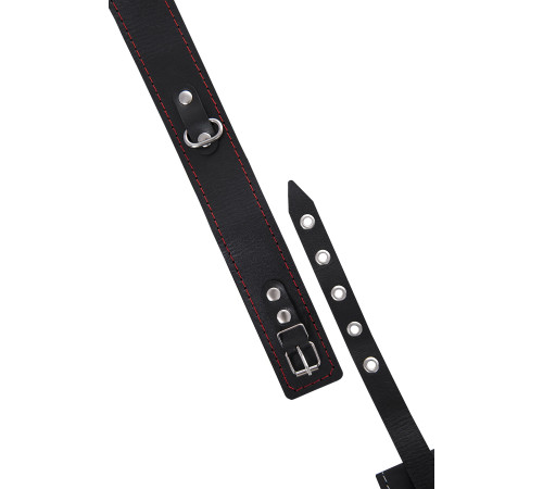 Кожаный двухслойный ошейник с красной строчкой и поводком