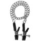 Зажимы на соски Block Busters Nipple Clamps с цепью