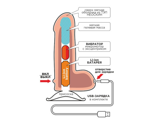 Заказать Телесный вибратор-реалистик NEOSKINUM - 21 см.