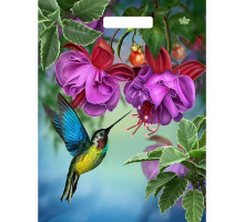 Пакет с принтом в виде колибри в цветах с вырубной ручкой (31х40 см)