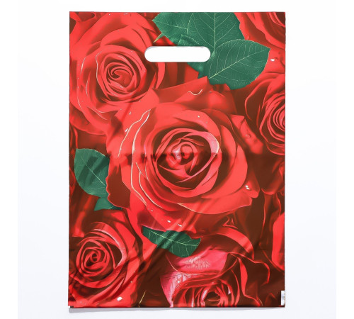 Пакет с цветочным принтом и вырубной ручкой (30х40 см)