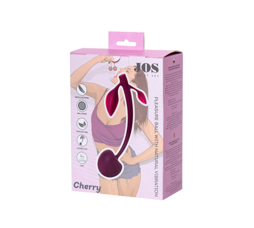 Бордовая вагинальная вишенка WILD CHERRY - 14,5 см.