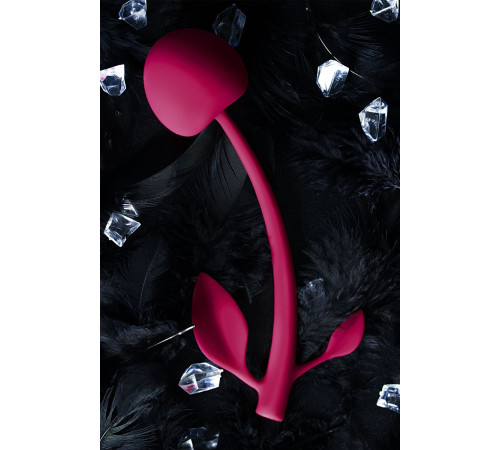 Бордовая вагинальная вишенка WILD CHERRY - 14,5 см.