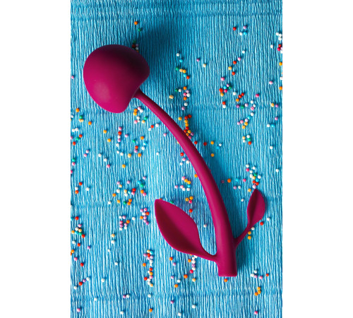 Бордовая вагинальная вишенка WILD CHERRY - 14,5 см.