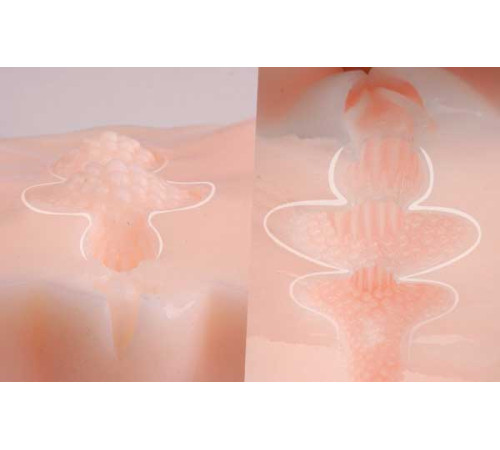 Мастурбатор-полуторс Angel без вибрации