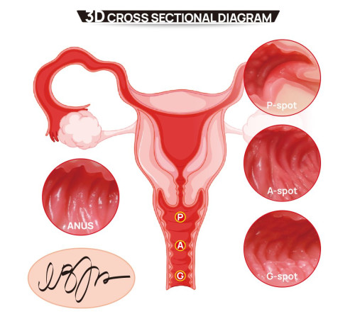 Мастурбатор-полуторс с двойным слоем материала Vanilla Onahole