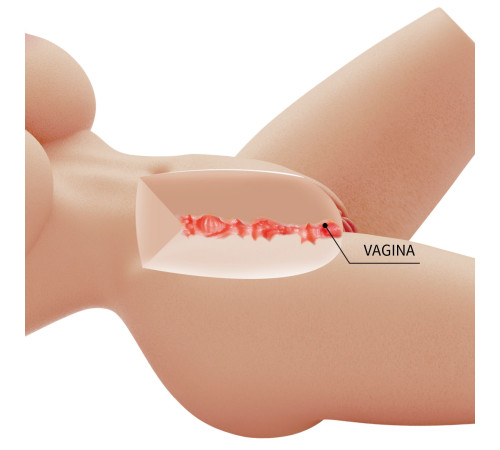 Телесный мастурбатор-торс Lily