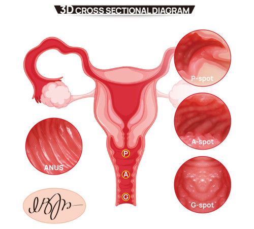 Мастурбатор-полуторс с двойным слоем материала Vanilla Onahole Real Vagina