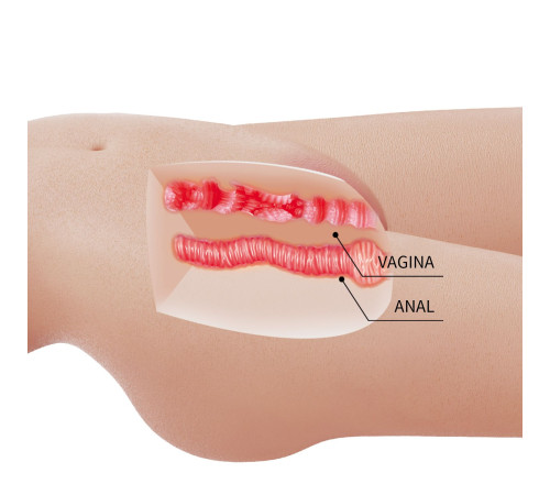 Телесный мастурбатор-торс Mia