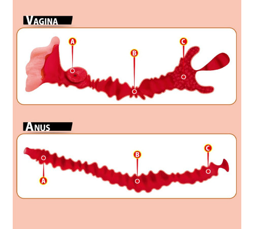 Мастурбатор-полуторс Adel с двумя любовными отверстиями