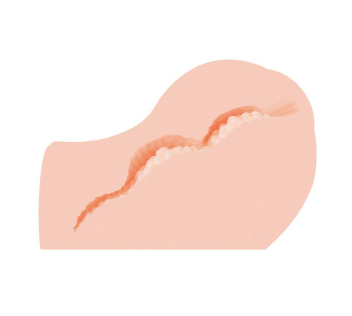 Мастурбатор-полуторс Angel без вибрации