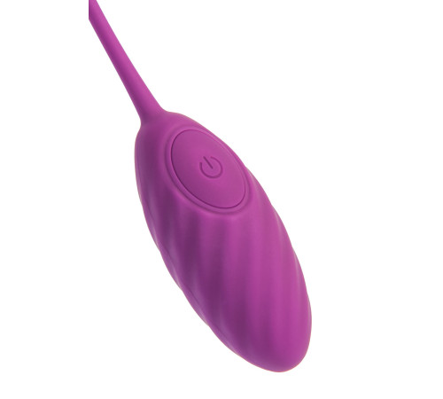 Фиолетовое силиконовое виброяйцо Purr