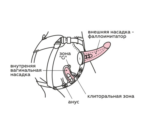Женский пояс-трусики c 2 насадками Женский пояс-трусики c 2 насадками